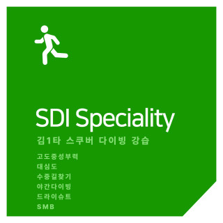 SDI SPECIALTY 코스